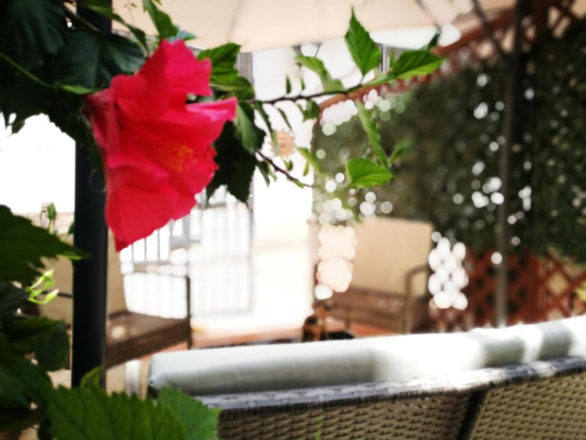 Bella Palermo Bed and Breakfast Exteriör bild